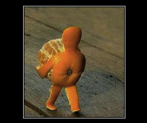 ミカンの生き様