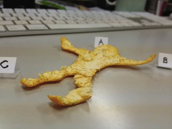 ミカンの生き様