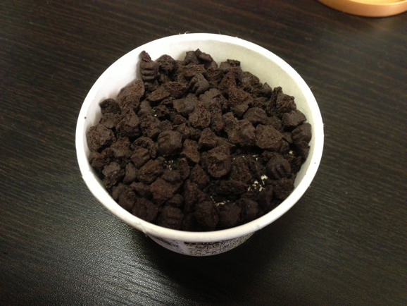 ハーゲンダッツ