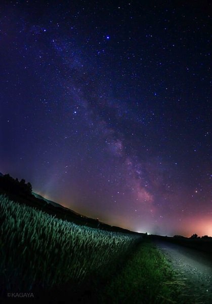 北海道の麦畑にて七夕の天の川を撮影した美しすぎる写真