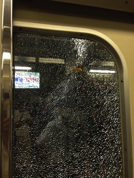 French fries fly into window