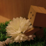 yotsubato-danbo-11.jpg