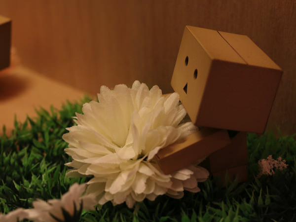 よつばとダンボー展