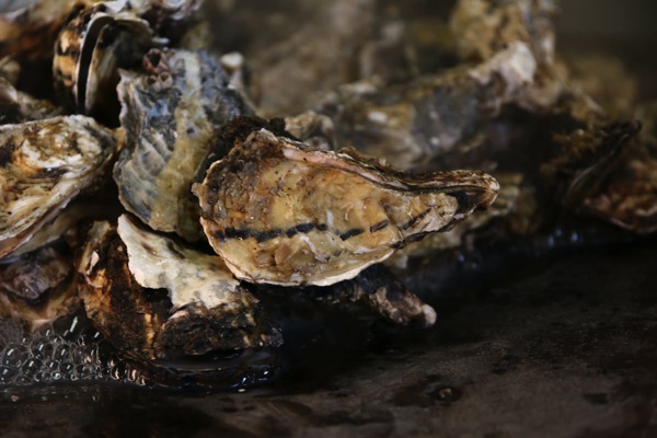 かき小屋（松島、牡蠣食べ放題）