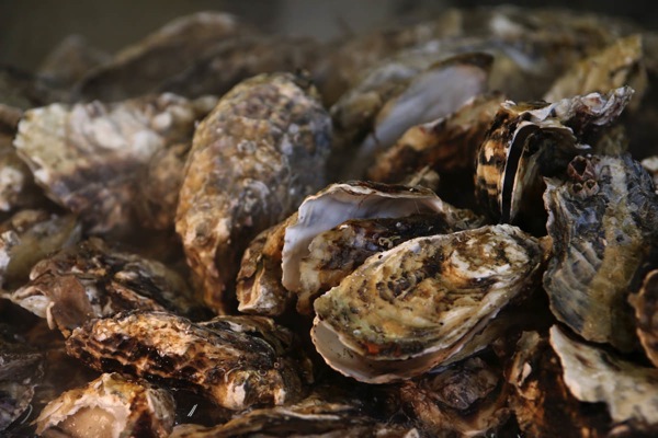 かき小屋（松島、牡蠣食べ放題）