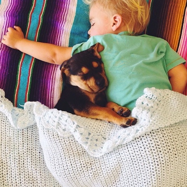 Toddler sleeping with dog