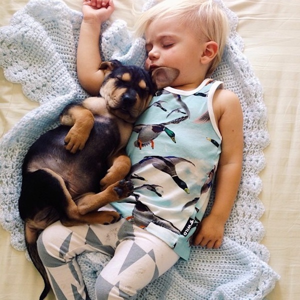 Toddler sleeping with dog