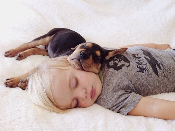 Toddler sleeping with dog