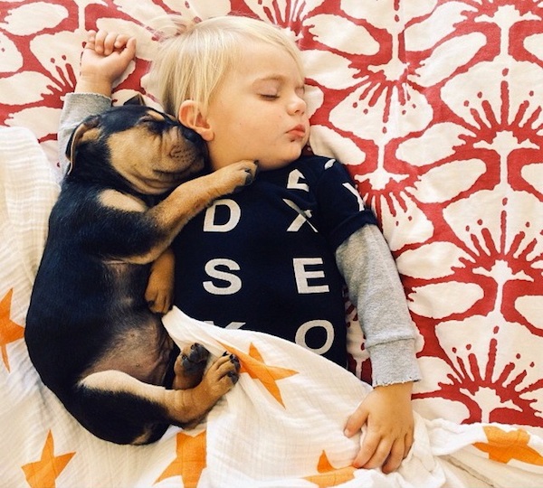 Toddler sleeping with dog