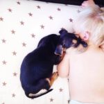 toddler-sleeping-with-dog-4.jpg