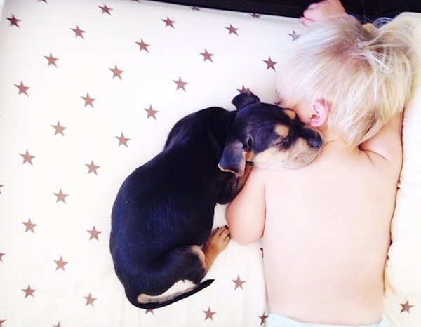 Toddler sleeping with dog