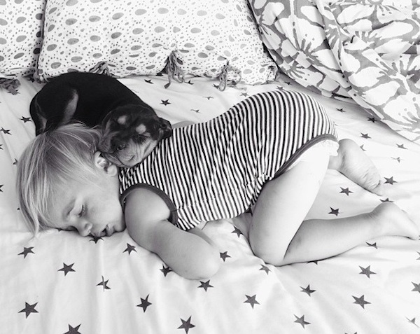 Toddler sleeping with dog