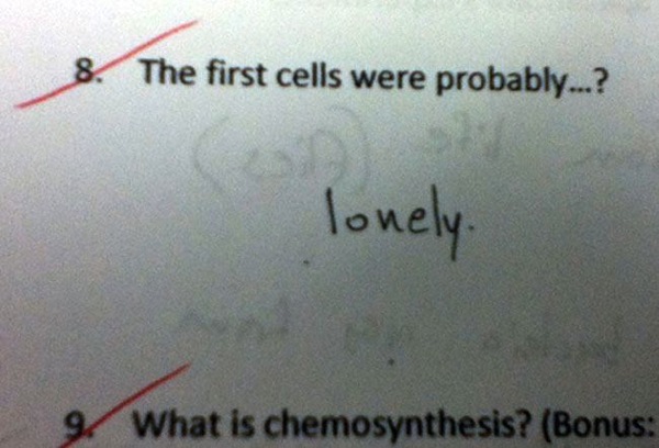 Genius Test Answers