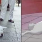 reality-is-better-than-anime-13