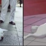 reality-is-better-than-anime-22