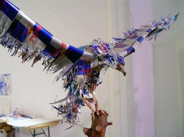 Red bull bird