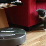 roomba-and-cat.jpg