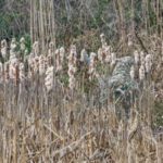 soldiers-camouflaging-is-amazing-9.jpg