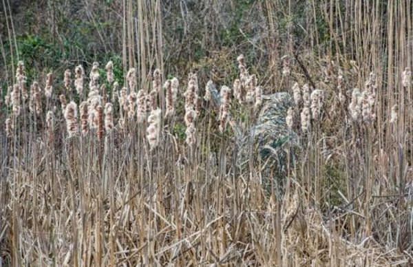 Soldiers camouflaging is amazing