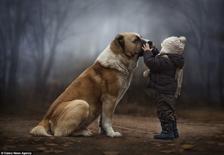 動物と人間の壁を超えた「本物の友情」