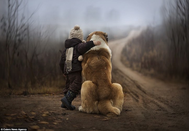 動物と人間の壁を超えた「本物の友情」