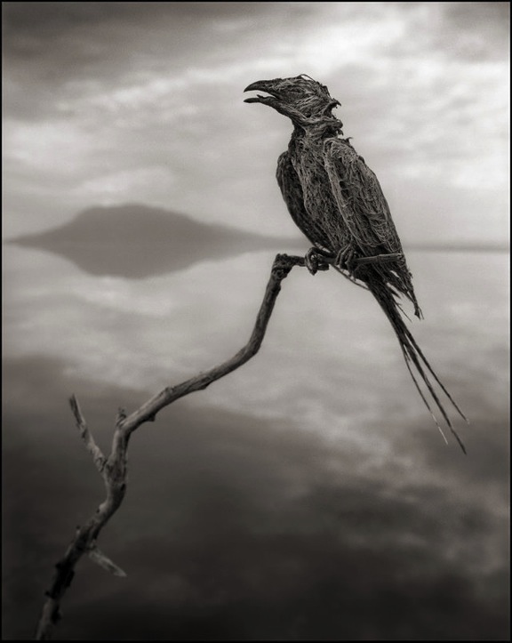 ナトロン湖（タンザニア）