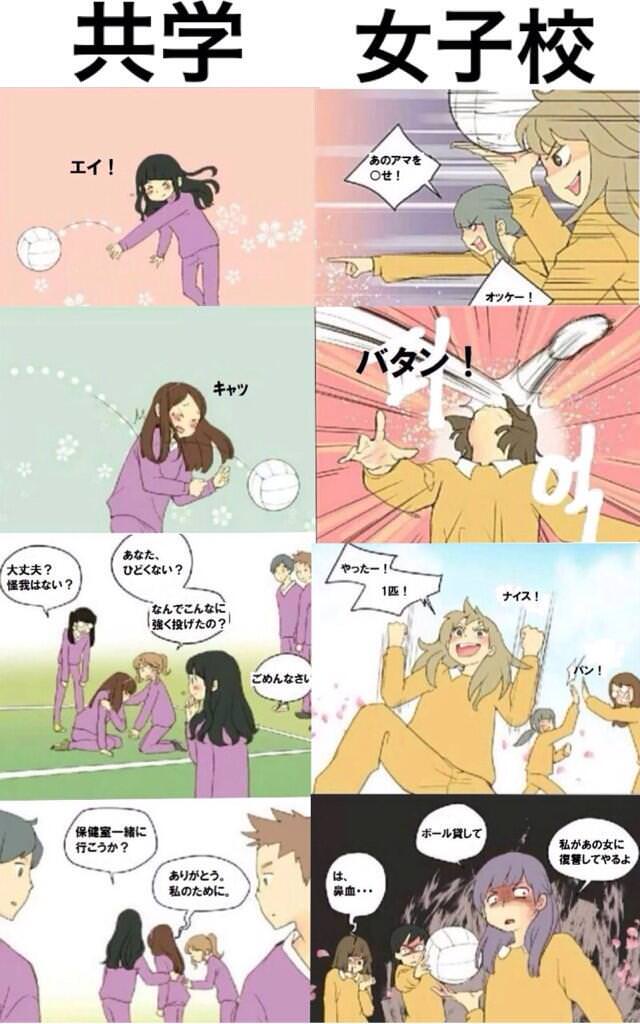 共学と女子校の違い