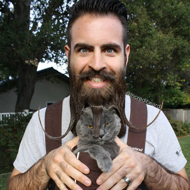 Mr. Incredibeard's Amazing Beard