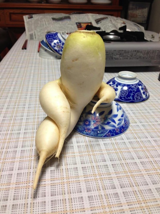 Funny vegetables