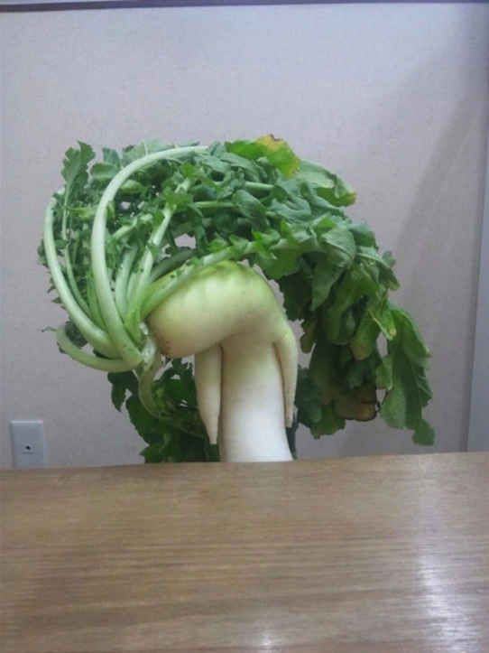 Funny vegetables