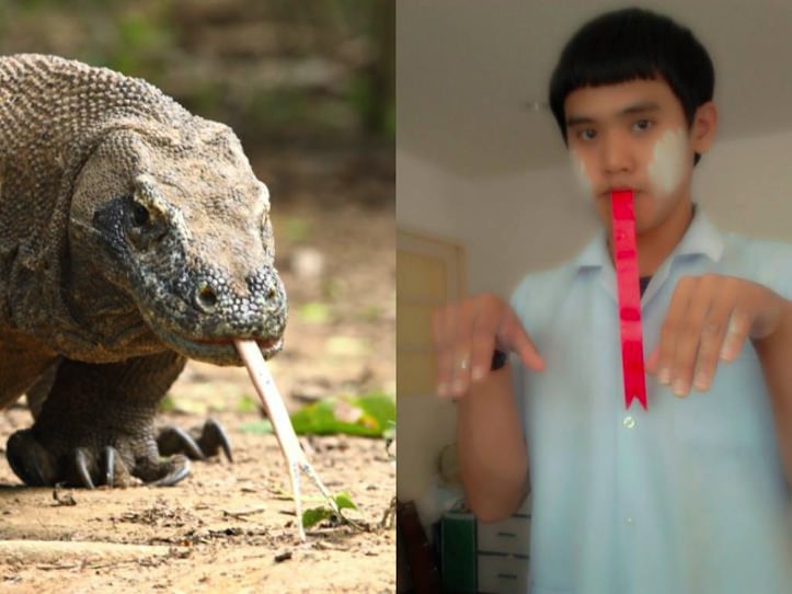 レベルが低すぎるコスプレ写真20選