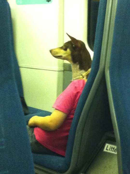 絶妙としか言いようのない瞬間に撮影された写真