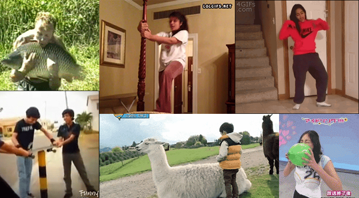 面白すぎる決定的瞬間20選