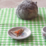 hamster-eating-pizza-1.png