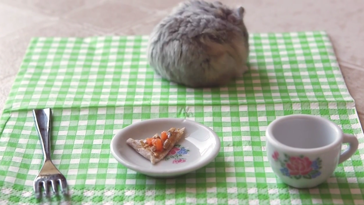 Hamster eating pizza
