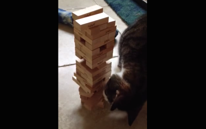 Jenga Cat