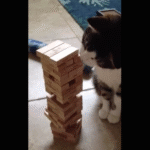 jenga-cat-2.png