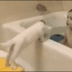 kids-that-dont-give-a-f-15