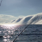 lake-michigan-huge-fog.png