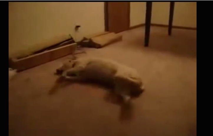 Runnning while sleeping