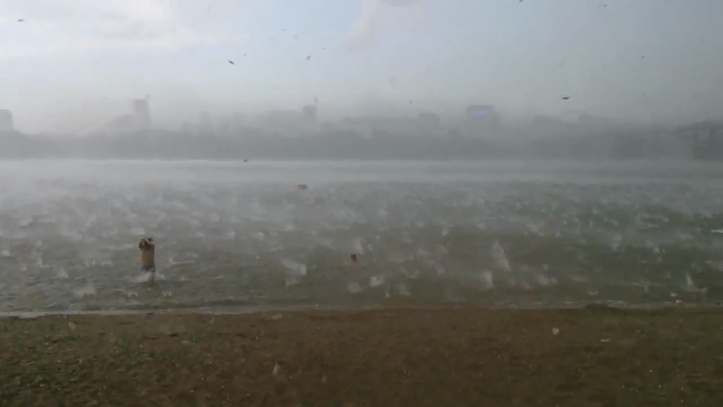 Hail raining on beach