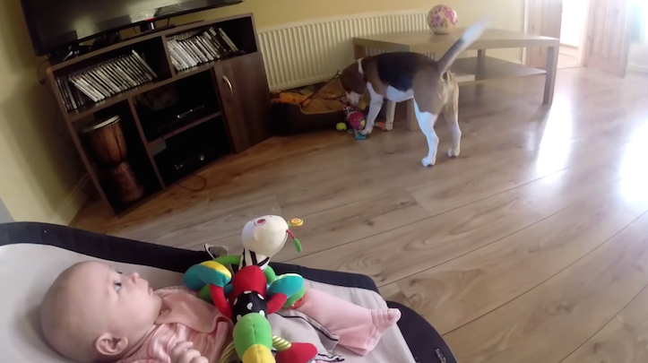 Never too late to apologize