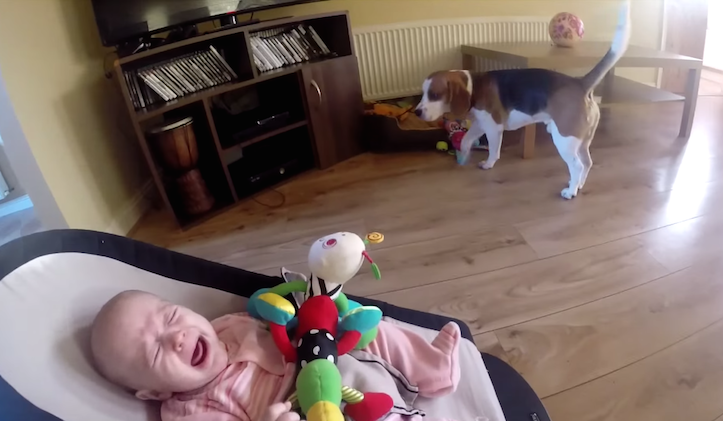 Never too late to apologize