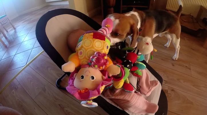 Never too late to apologize