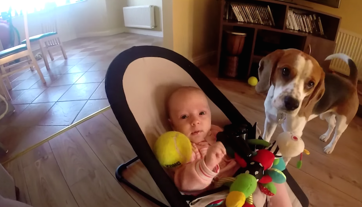 Never too late to apologize