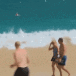 people-who-should-stay-away-from-the-beach-7.gif
