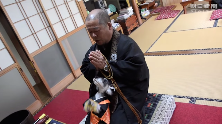 読経に合わせ合掌が可愛らしいと話題に！