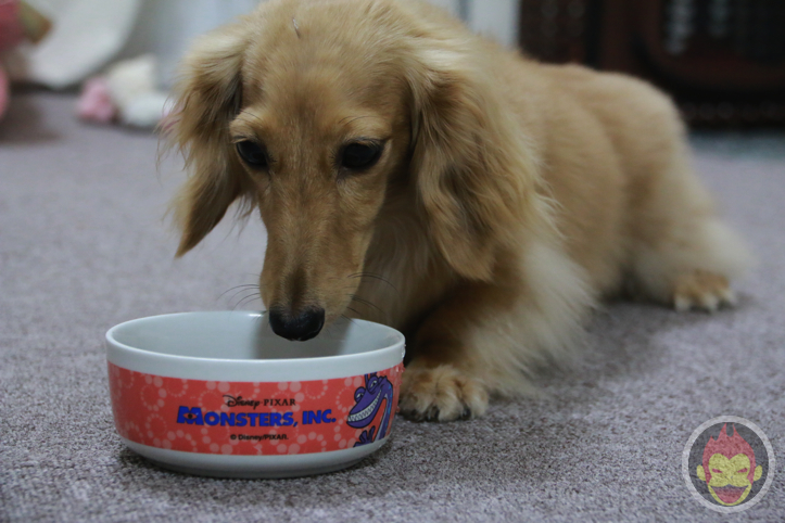 はなまめちゃん