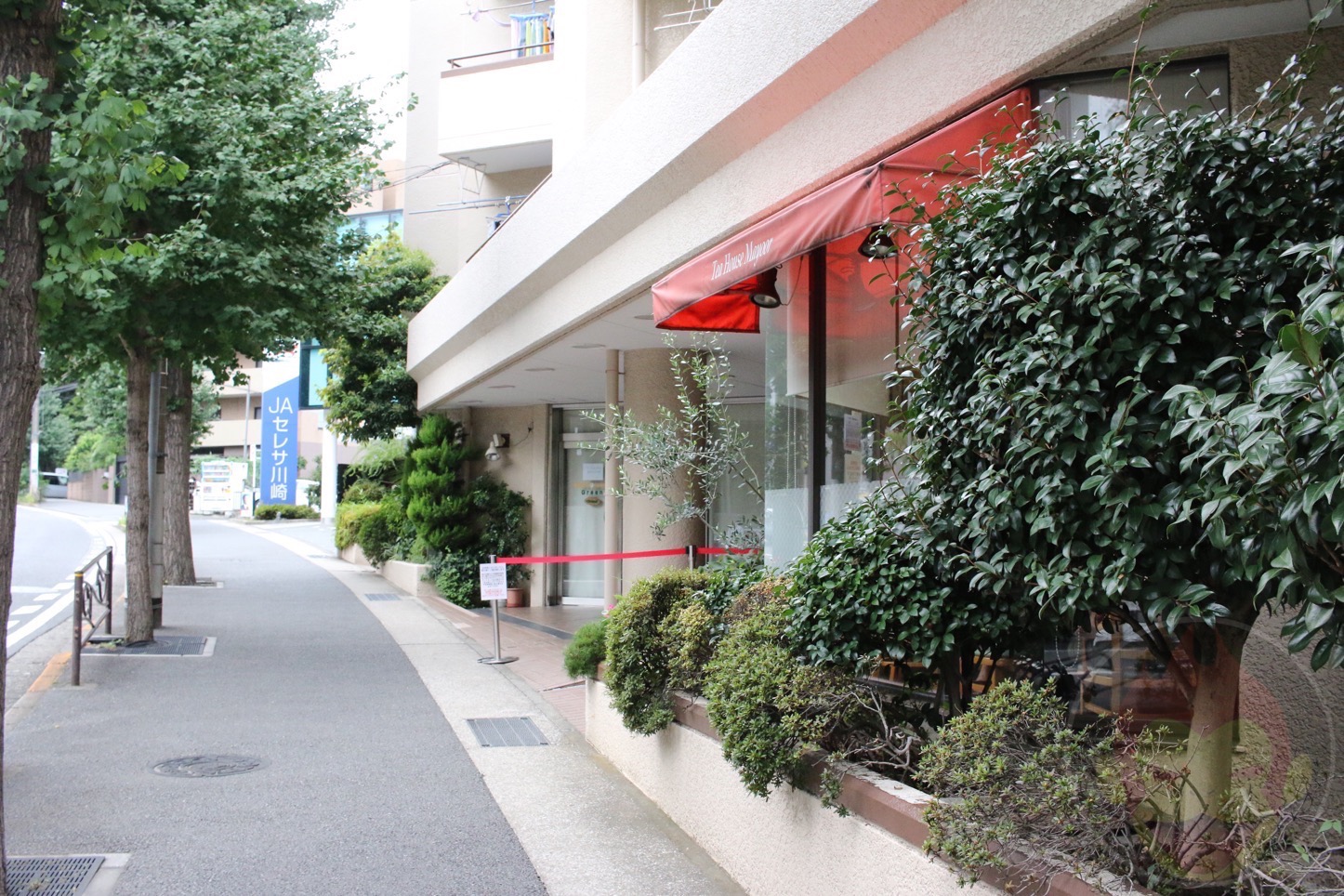 紅茶専門店「ティーハウスマユール」のかき氷