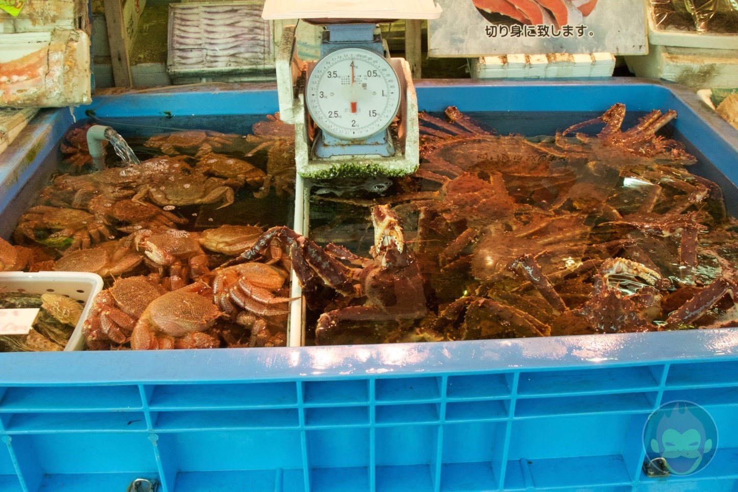 小樽 北のどんぶり屋 滝波食堂